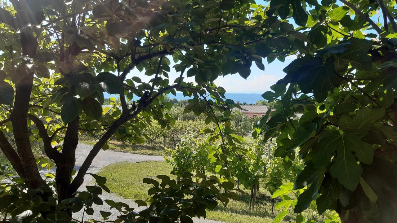 Apartma Tul Izola Exteriör bild